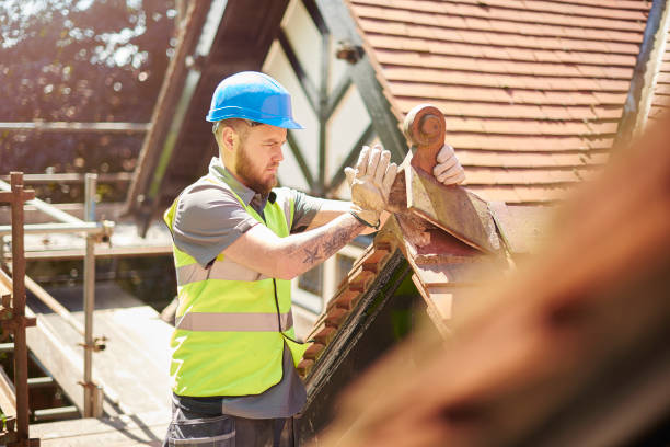 Roof Gutter Cleaning in Soddy Daisy, TN